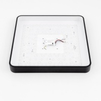 Накладной светильник Citilux CL724K95G1
