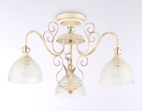 Накладной светильник Ambrella Light TR3055