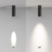 Потолочный светильник Technical C055CL-L12W4K-SS-B