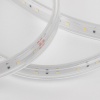 Лента Elektrostandard LS014 220V 8W 60Led 2835 IP65 6500