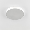 Накладной светильник Citilux CL72470G0