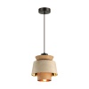 Подвесной светильник Odeon Light 4992/1