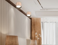 Накладной светильник Ambrella Light TN5305