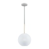 Подвесной светильник LOFT IT 2030-P1