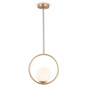 Подвесной светильник Ambrella Light TR2594
