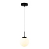 Подвесной светильник ARTE Lamp A1565SP-1BK