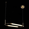 Подвесная люстра ST-Luce SL6004.313.02