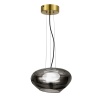 Подвесной светильник ST-Luce SL6019.303.01