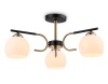 Накладной светильник Ambrella Light TR303311