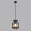 Подвесной светильник Odeon Light 5042/1B