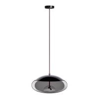Подвесной светильник LOFT IT 8134-D