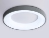 Накладной светильник Ambrella Light FZ1402