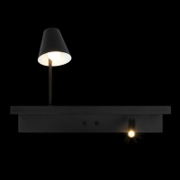 Бра LOFT IT 10216/2W Black