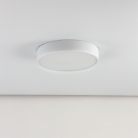 Накладной светильник Citilux CL72424V0