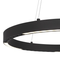 Подвесной светильник ST-Luce SL6238.423.01