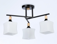 Накладной светильник Ambrella Light TR9493
