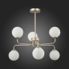 Evoluce SLE106203-06