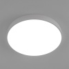 Накладной светильник Citilux CL72495G0
