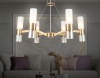 Подвесная люстра Ambrella Light LH55114