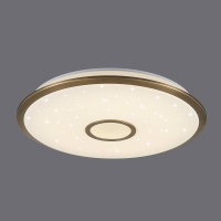 Накладной светильник Citilux CL703A83G