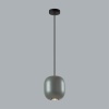 Подвесной светильник Odeon Light 5060/1EA