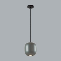 Подвесной светильник Odeon Light 5060/1EA