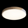 Накладной светильник LOFT IT 10004/36 White