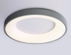 Накладной светильник Ambrella Light FZ1402