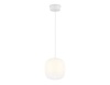 Подвесной светильник Ambrella Light LH11091