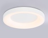 Накладной светильник Ambrella Light FZ1401