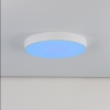Накладной светильник Citilux CL72470G0