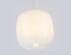 Подвесной светильник Ambrella Light LH11091