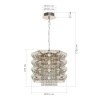Подвесная люстра ST-Luce SL6137.103.04
