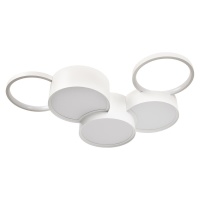 Накладной светильник LOFT IT 10317/5 White